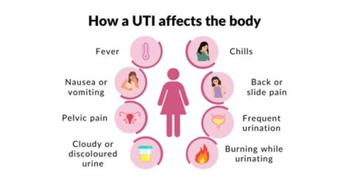 What does a UTI feel like when pregnant?