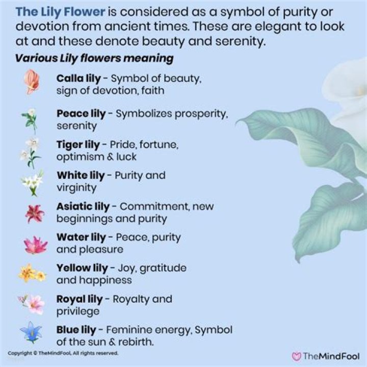 What does a yellow lily symbolize?