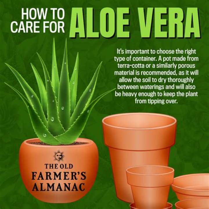 What does aloe vera and lemon do to your face?