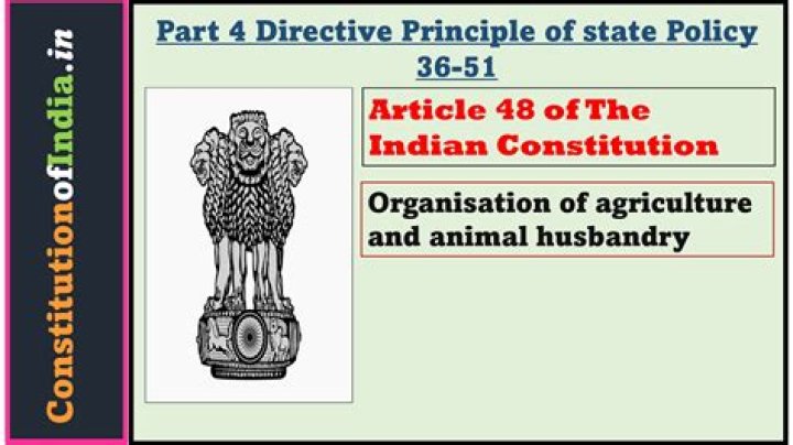 What does Article 48A of the Constitution of India provide?