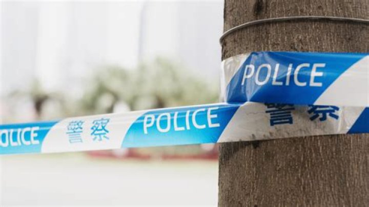 What does blue tape around tree mean?