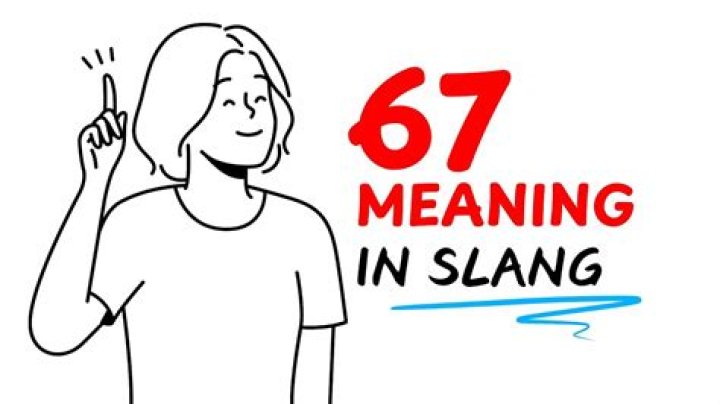 What does Bork mean in slang?