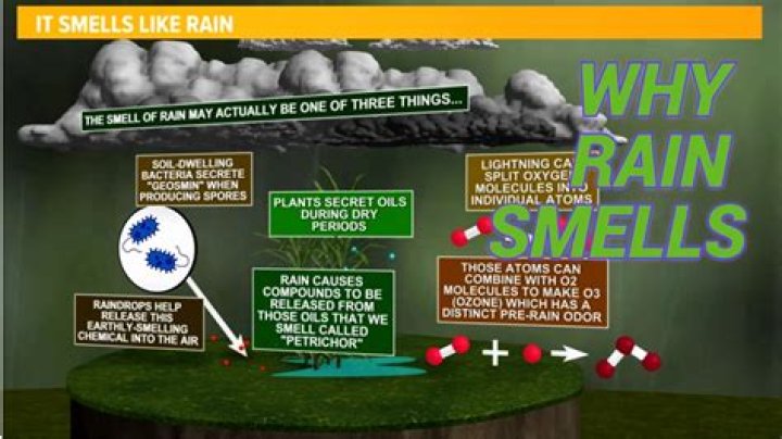 What does China rain smell like?