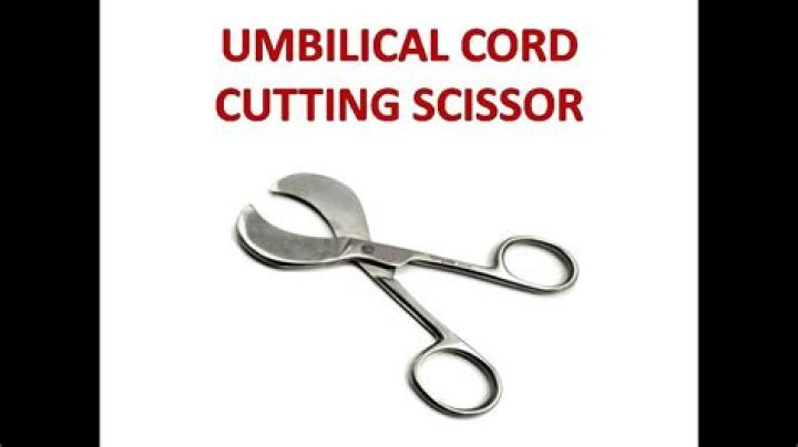 What does cutting the umbilical cord symbolize?