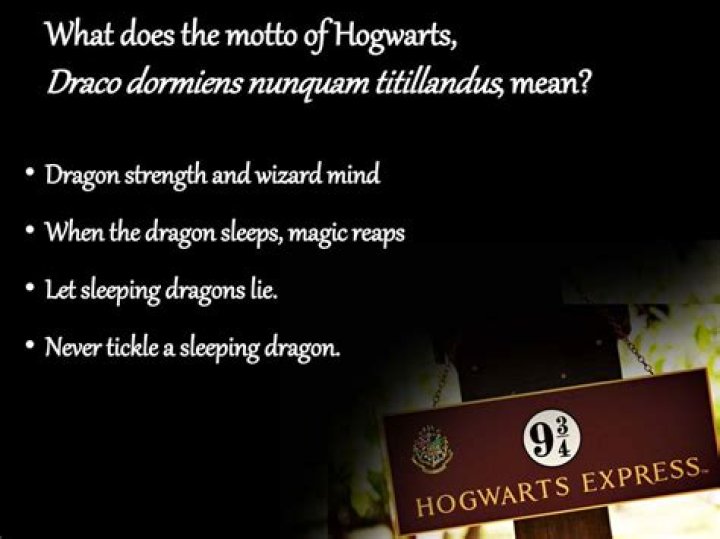 What does Dormiens Nunquam mean?