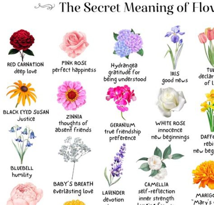 What does flower means in a relationship?