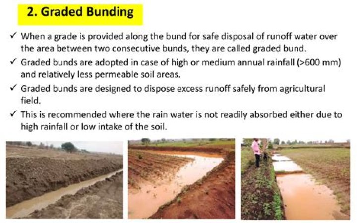 What does grassed mean in England?