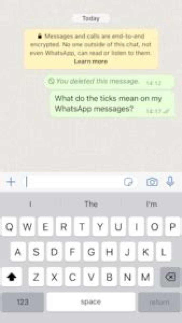 What does GREY tick mean on WhatsApp?