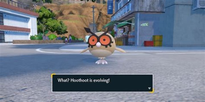 What does Hoothoot turn into?