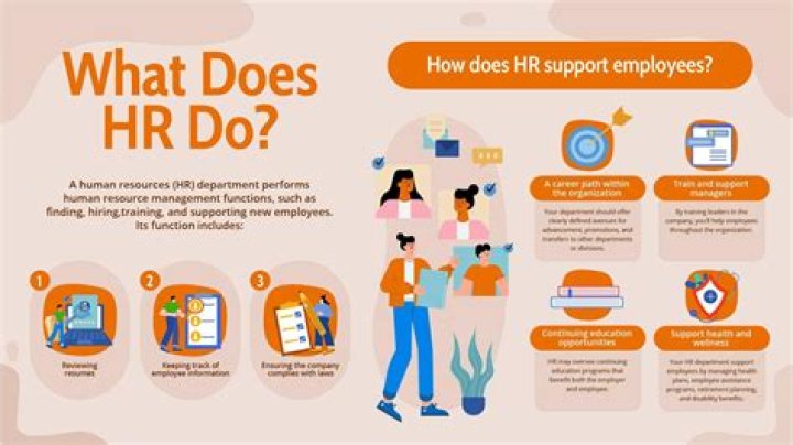 What does HR do before job offer?