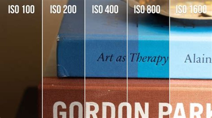What does ISO mean on film?