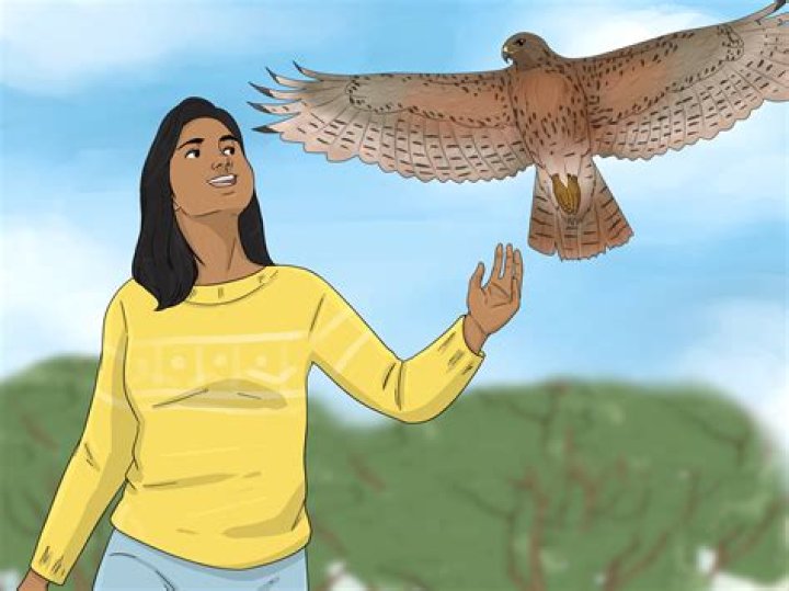 What does it mean if you see a hawk in your yard?
