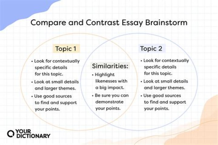 What does it mean to compare and contrast in an essay?