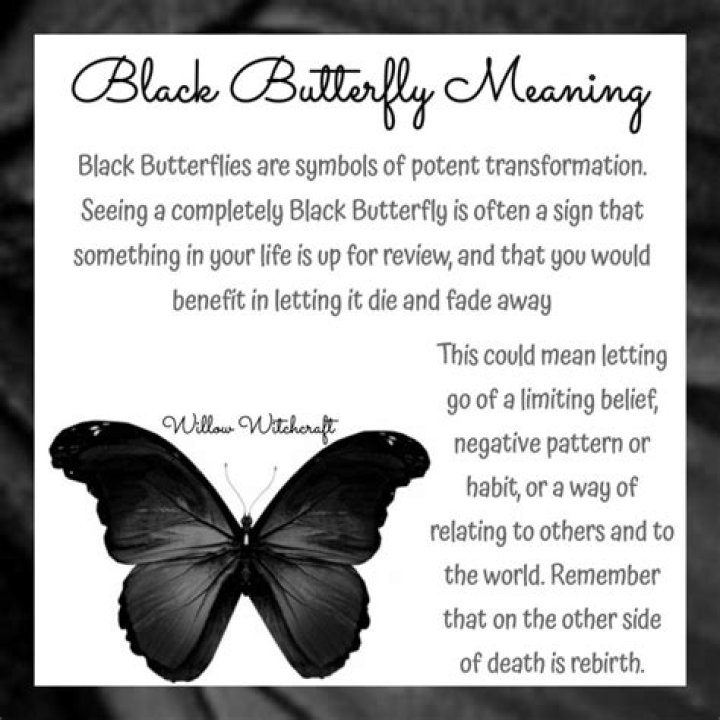What does it mean when a black butterfly flies around you?