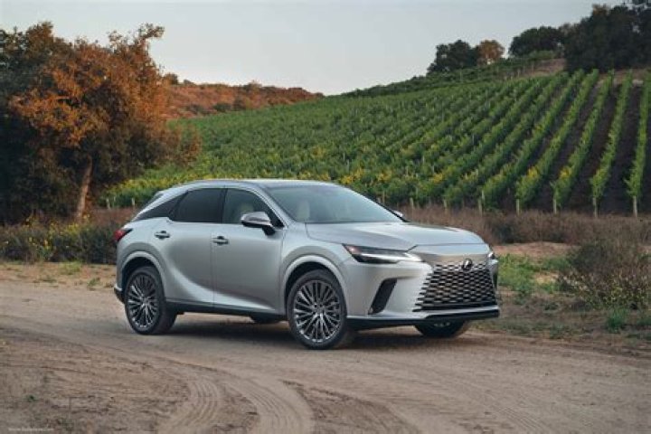 What does Lexus IS stand for?