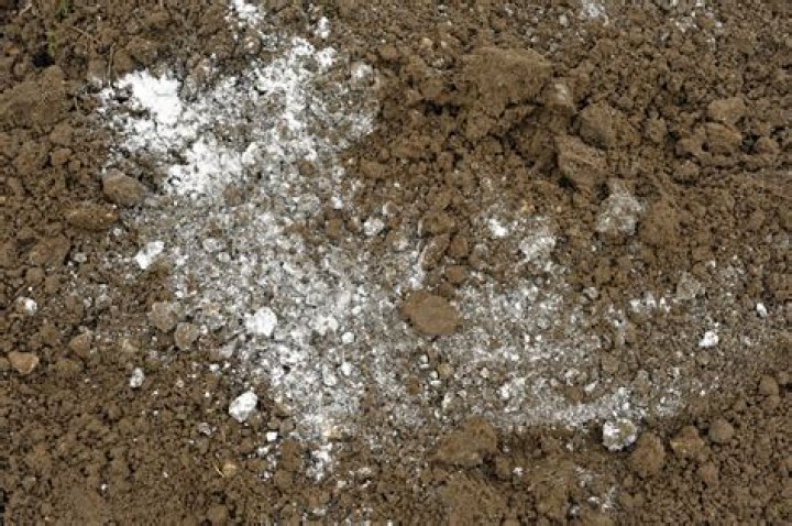 What does lime do to wet soil?