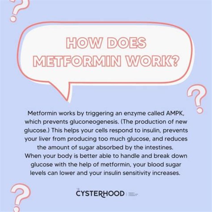 What does metformin do to your body?