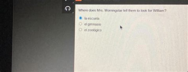 What does Mrs. Who look like in the book?