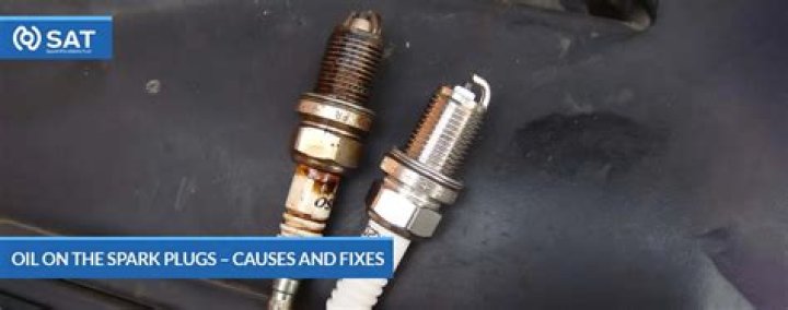What does oil around spark plug mean?