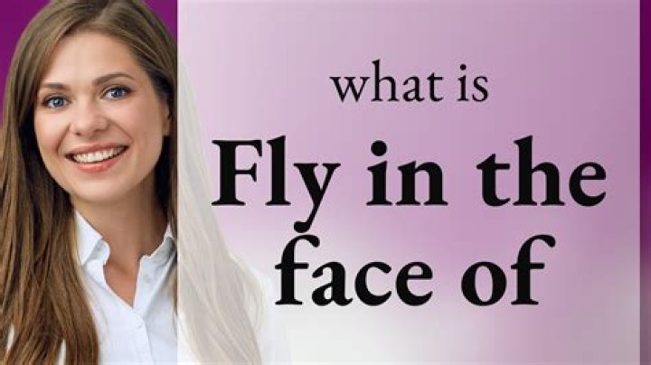 What does on the fly mean in a kitchen?