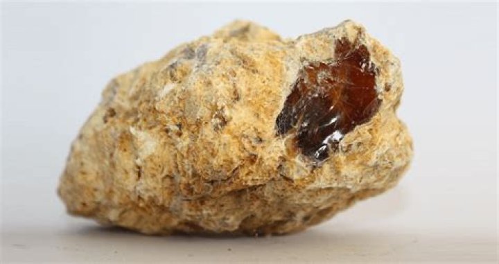 What does real ambergris smell like?