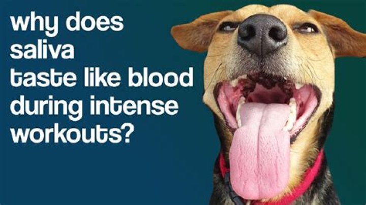 What does saliva taste like?