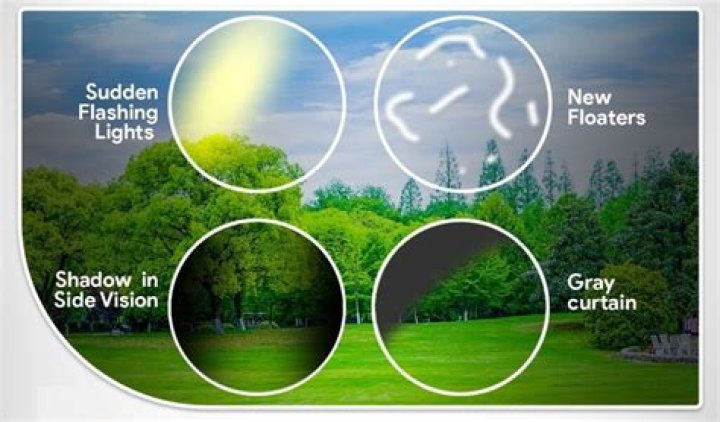 What does seeing a garden snake mean?