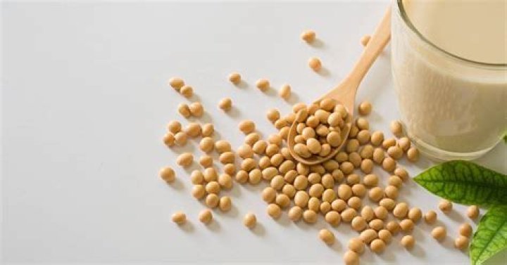 What does soy mean in texting?