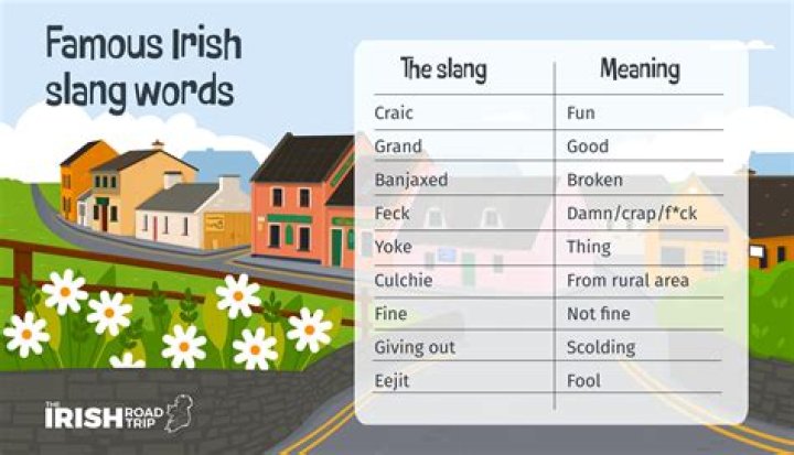 What does Taylor mean in Irish?