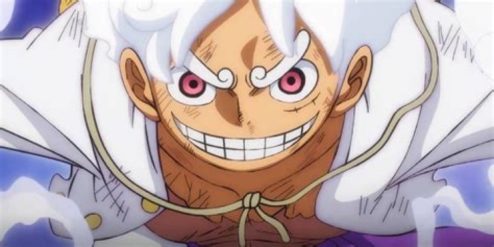 What does the D in Monkey D. Luffy mean?