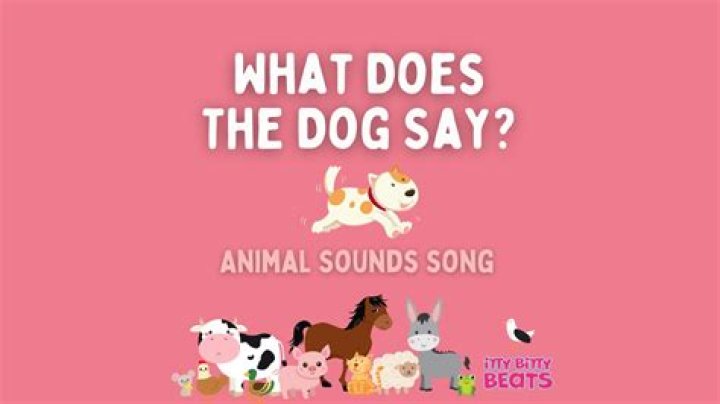 What does the dog say in English?