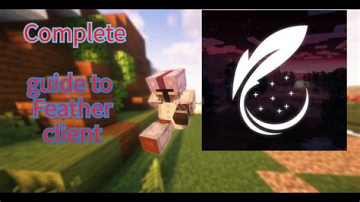 What does the feather turn Mario into?