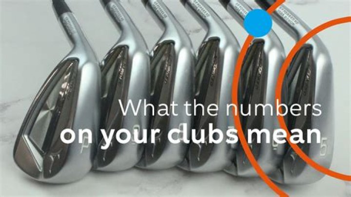 What does the number next to golfers name mean?