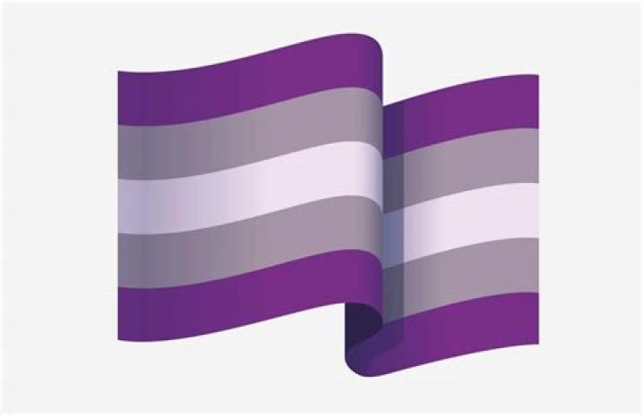 What does the purple flag mean Lgbtq?