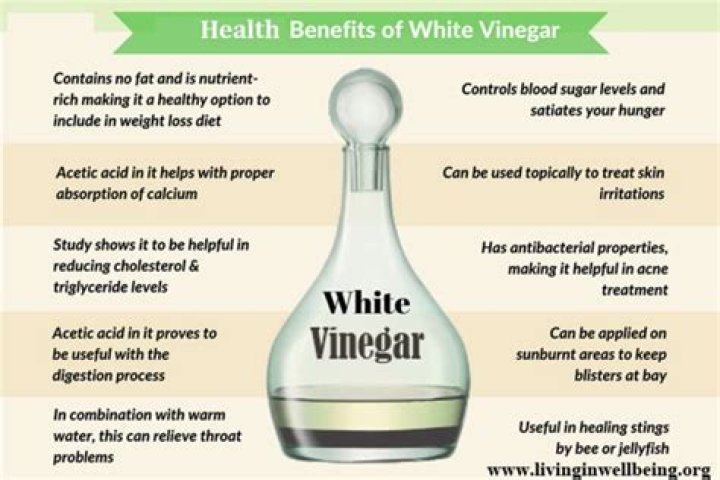 What does white vinegar do to lice?