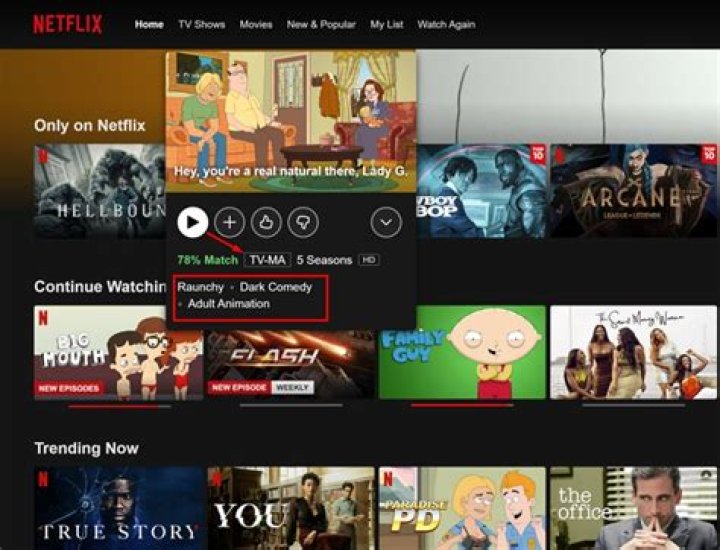 What does Y7 mean on Netflix?