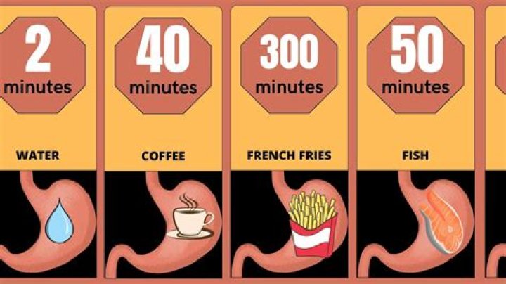 What drink is easiest on the stomach?