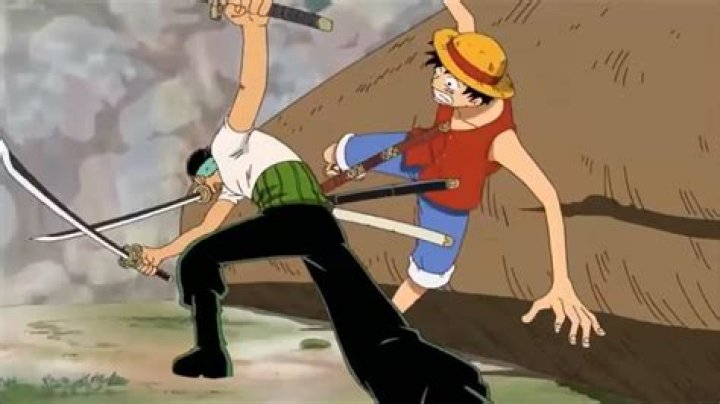 What episode did Zoro cut Luffy?