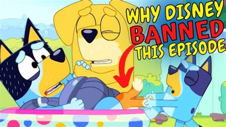 What episodes of Bluey are banned in the US?