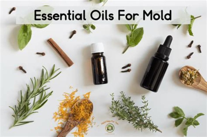 What essential oils prevent mold?