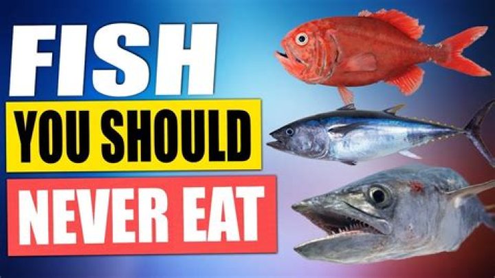 What fish should you not hold by the mouth?