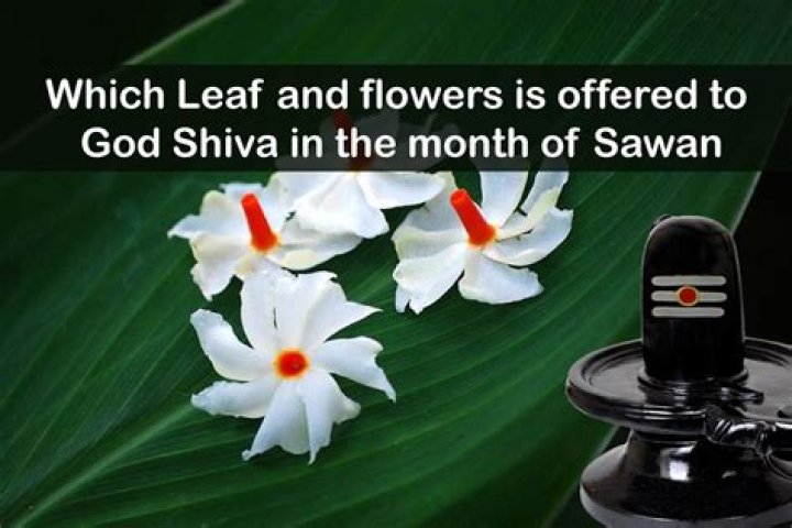 What flower is for Shiva?