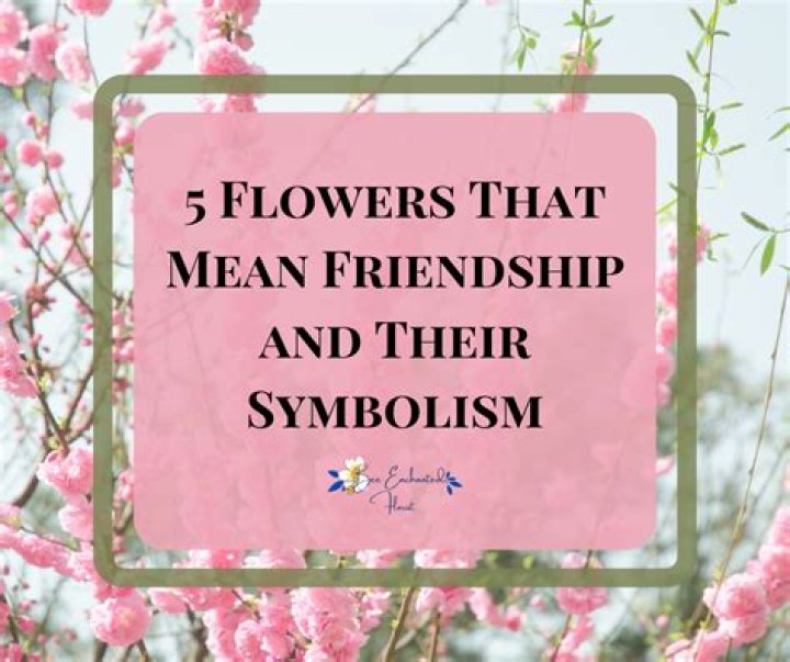 What flower means friendship forever?