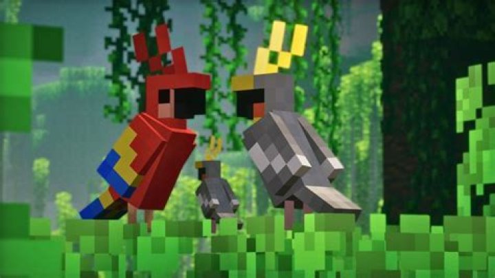 What food kills parrots Minecraft?