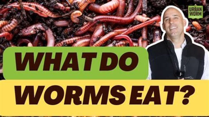 What foods cause worms?
