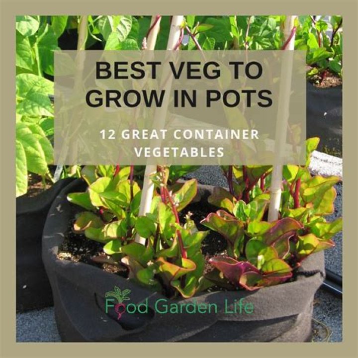 What fruits and vegetables grow well in pots?