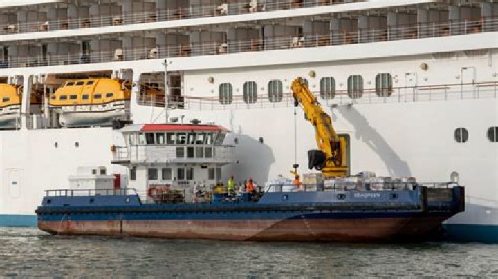 What fuel do cruise ships burn?