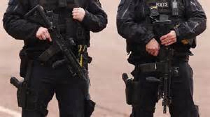 What gun does LAPD SIS carry?