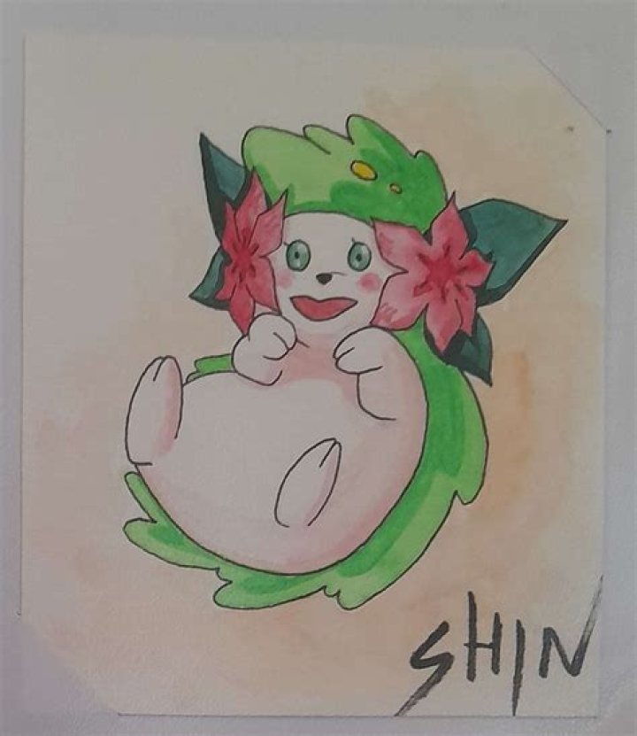 What happens if I KO Shaymin?