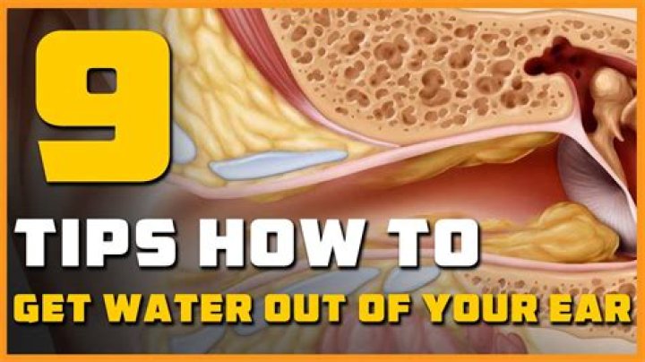 What happens if water gets in cat's ears?